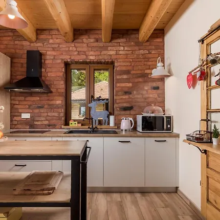 Chalet Mountain House Beauty Of Laz Ravna Gora