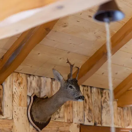 Chalet Mountain House Beauty Of Laz
