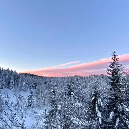 Mountain House Beauty Of Laz Ravna Gora